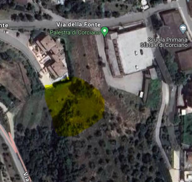 immagine annuncio 2 di 3
