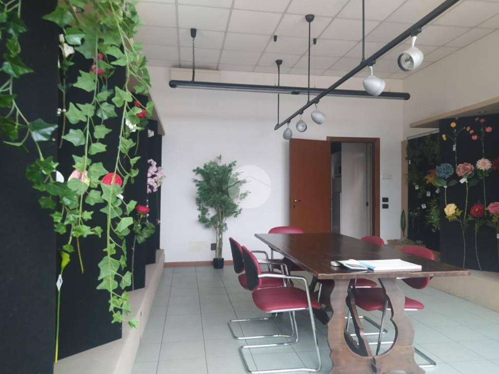 immagine annuncio 7 di 12