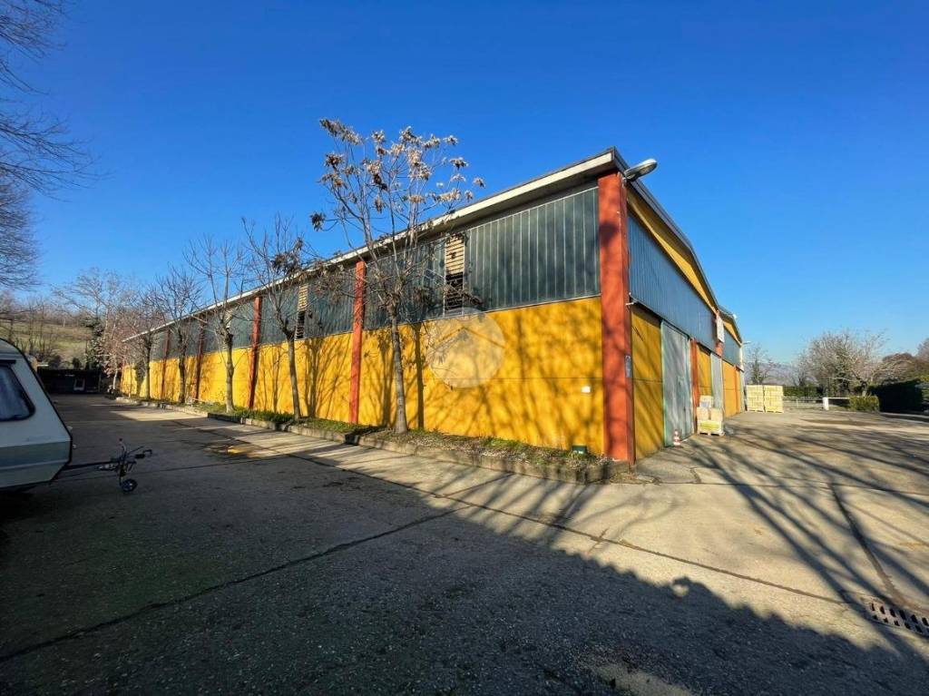 immagine annuncio 1 di 10