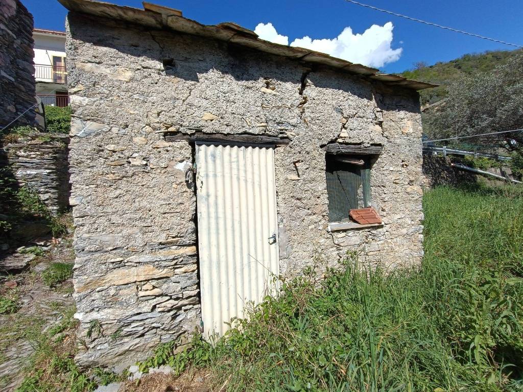 immagine annuncio 5 di 8