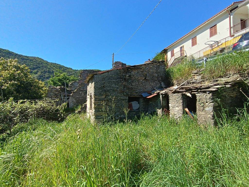 immagine annuncio 2 di 8