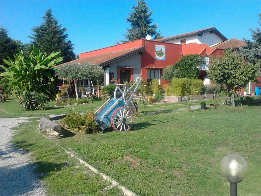 immagine annuncio 11 di 15