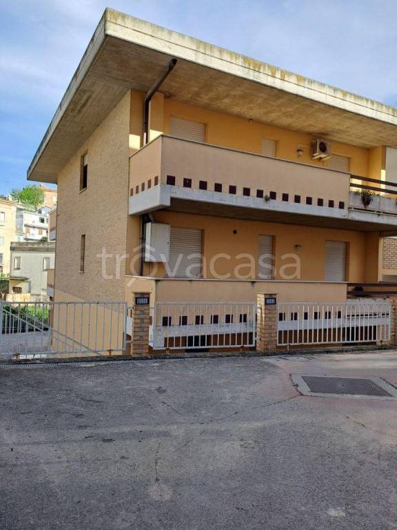 immagine annuncio 1 di 14
