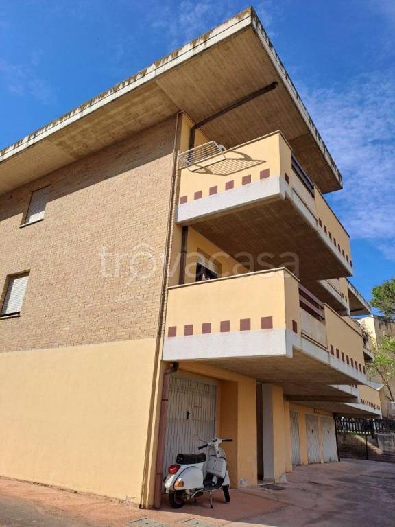 immagine annuncio 4 di 14