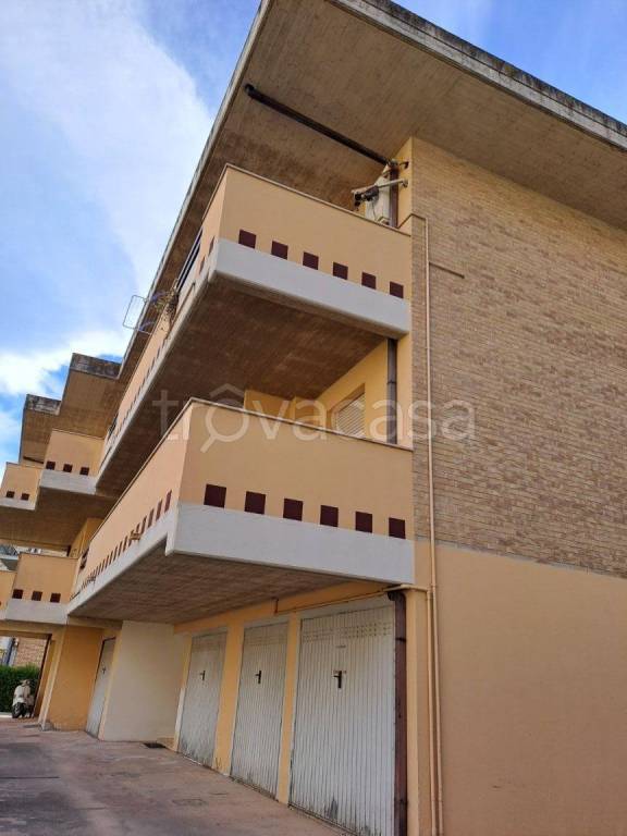 immagine annuncio 5 di 14