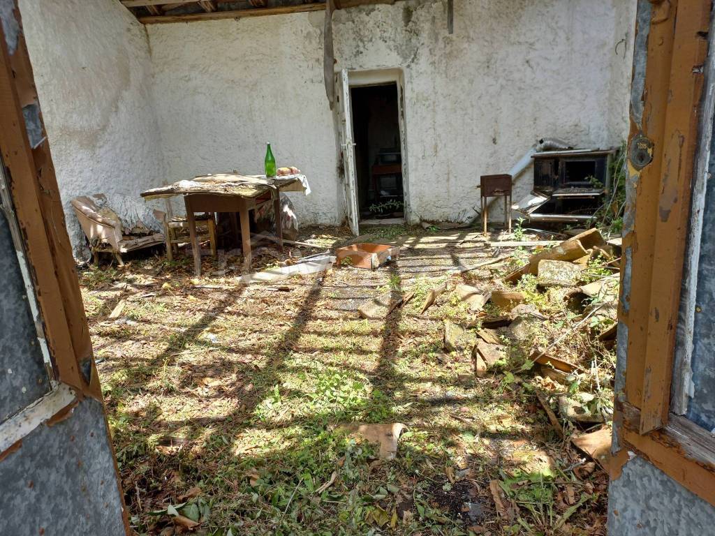 immagine annuncio 3 di 12