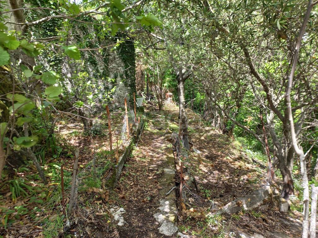 immagine annuncio 7 di 12