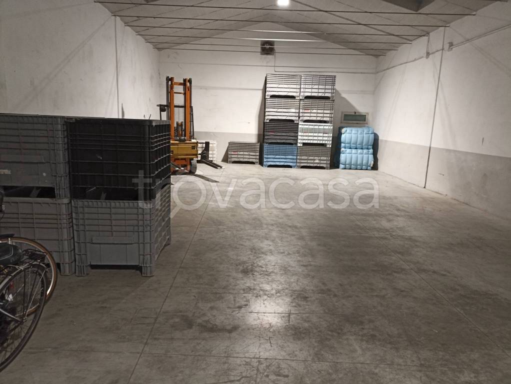 immagine annuncio 3 di 12
