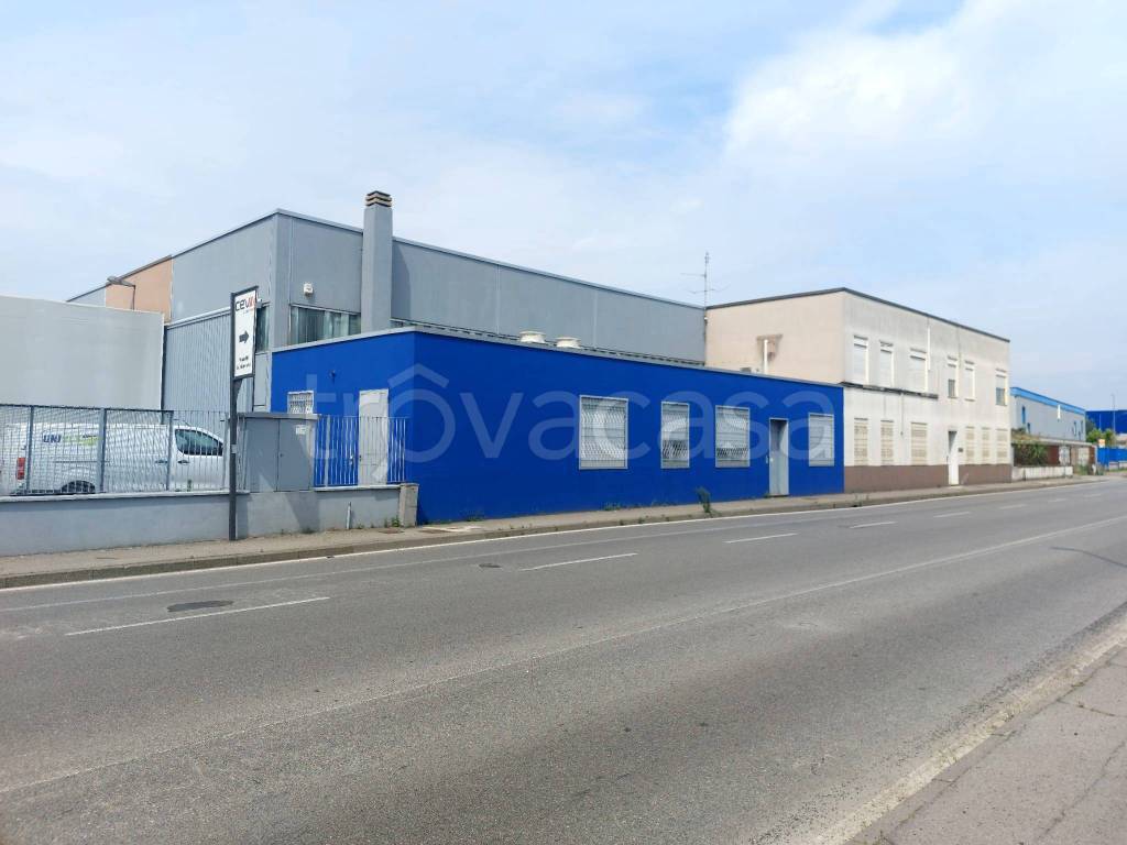 immagine annuncio 3 di 15