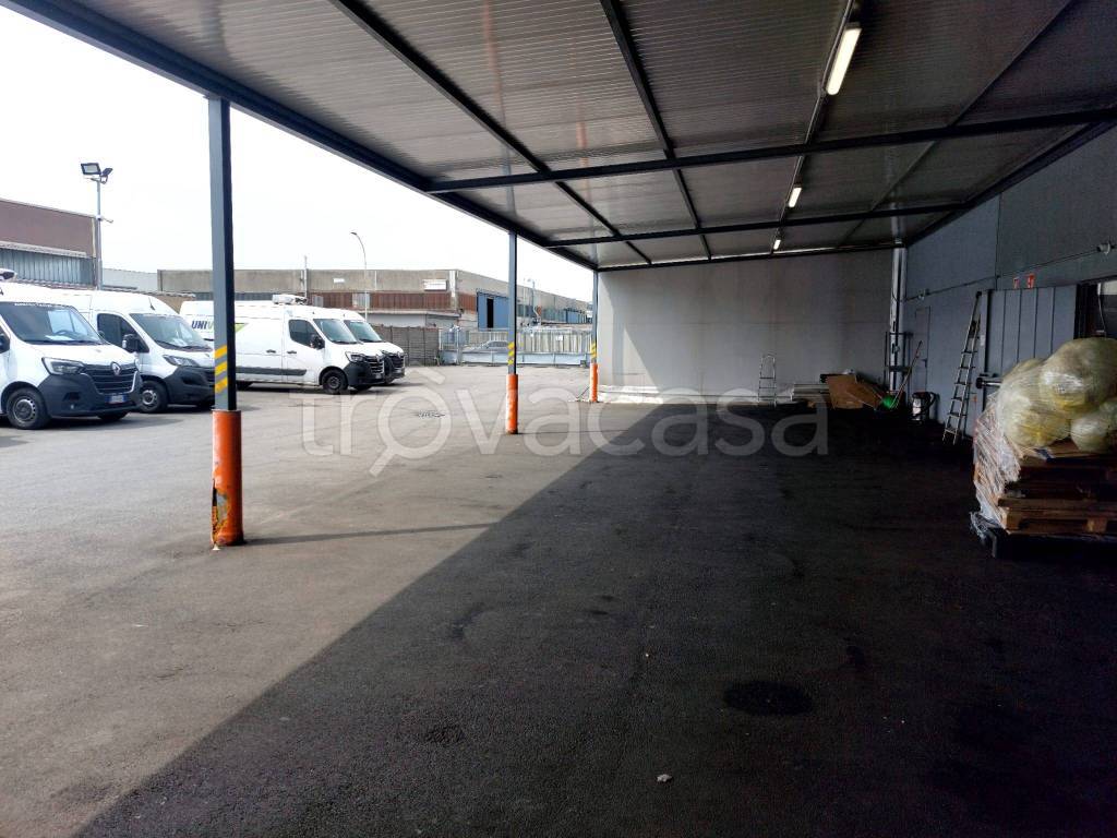 immagine annuncio 10 di 15