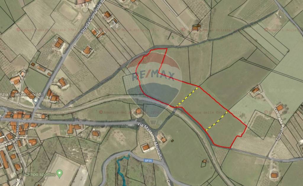 immagine annuncio 1 di 7