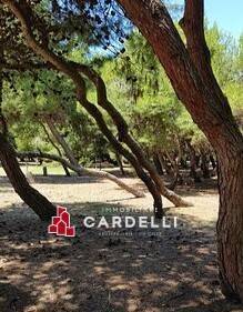 immagine annuncio 7 di 11