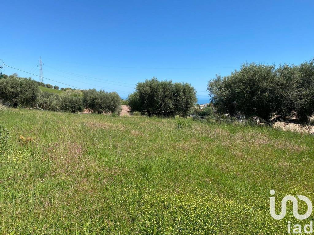 immagine annuncio 3 di 8