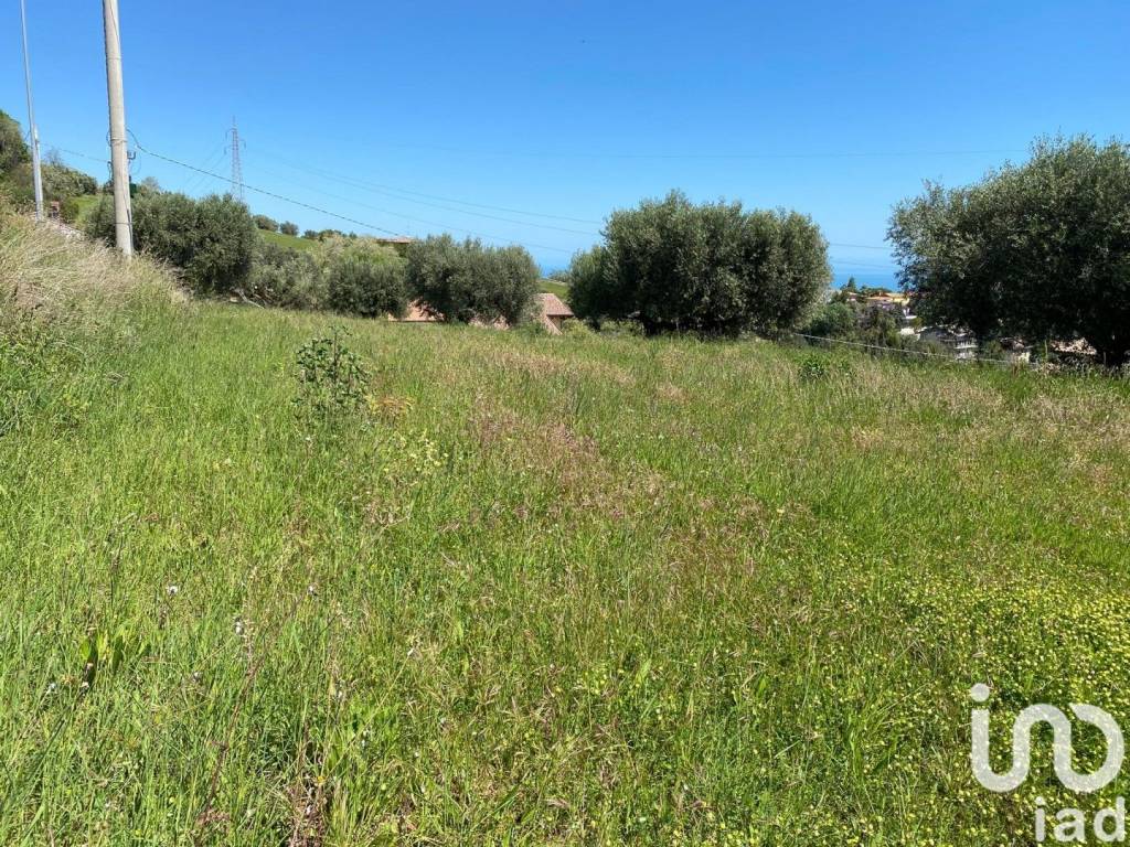 immagine annuncio 4 di 8