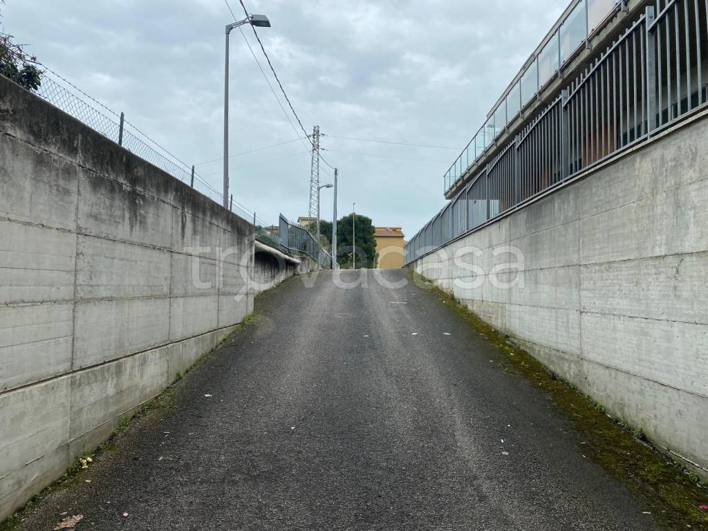 immagine annuncio 4 di 6
