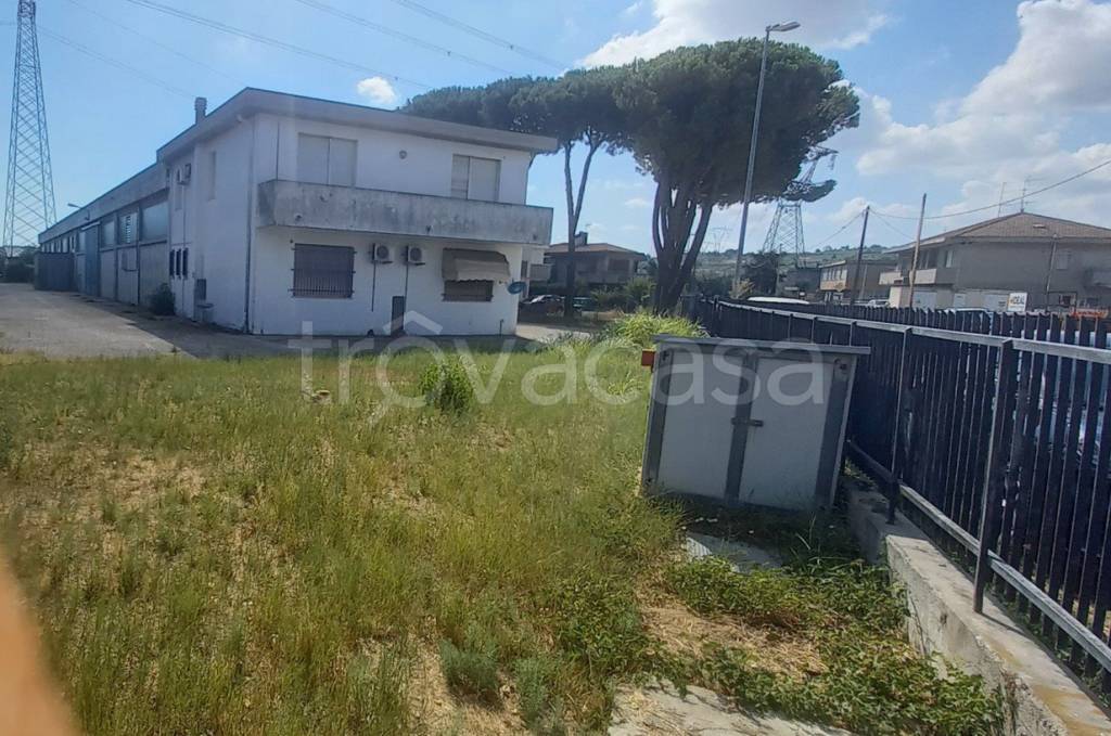 immagine annuncio 11 di 12