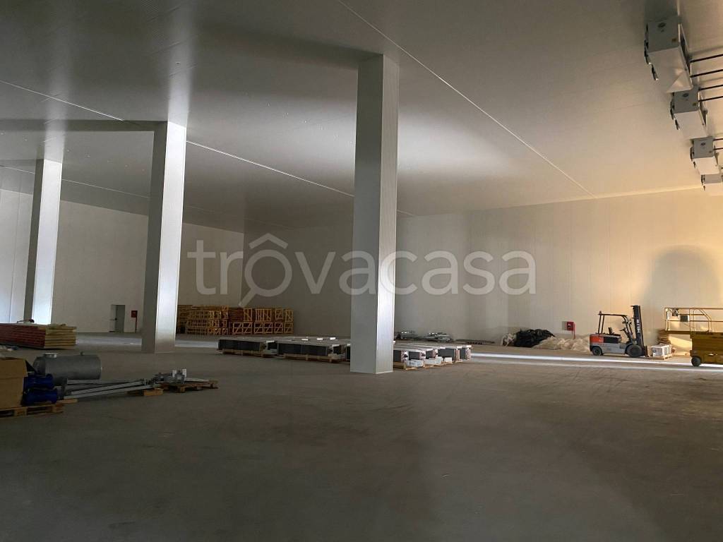 immagine annuncio 4 di 11