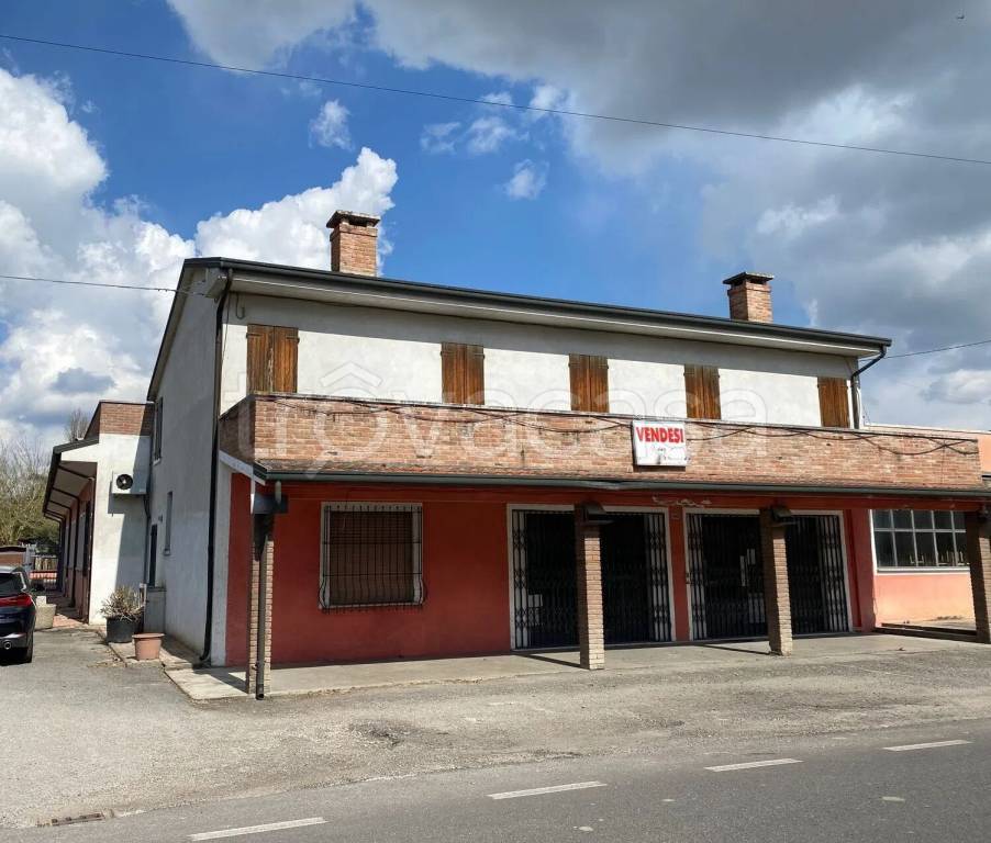 immagine annuncio 1 di 14