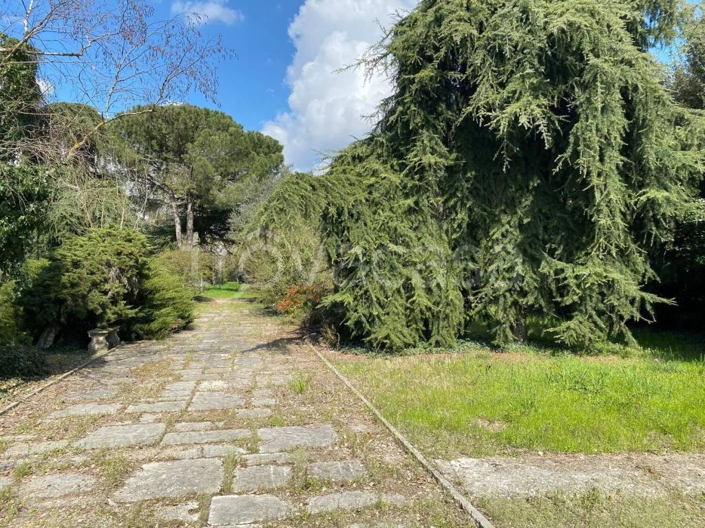 immagine annuncio 6 di 14