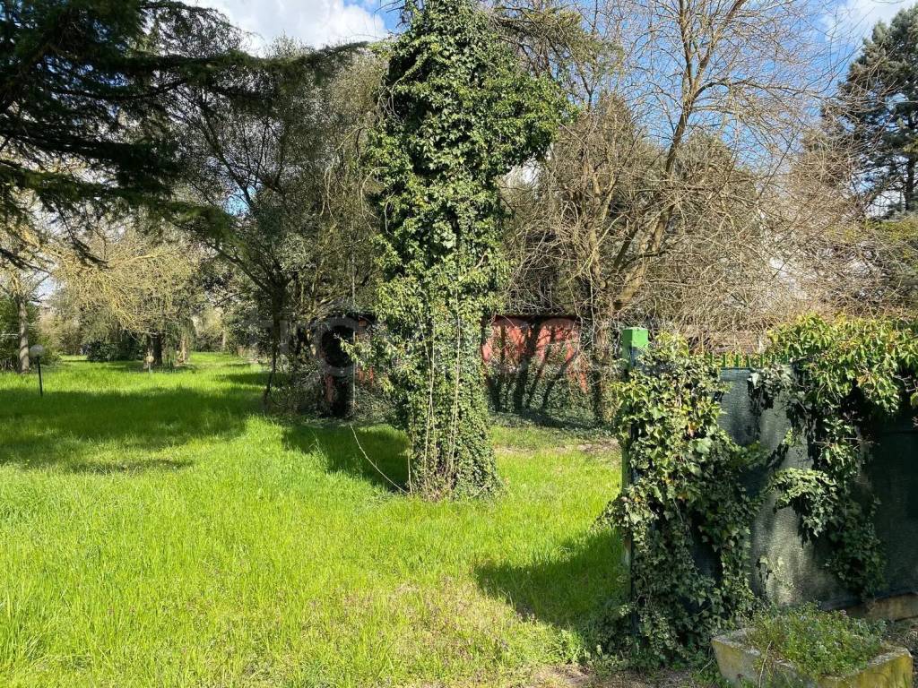 immagine annuncio 1 di 4