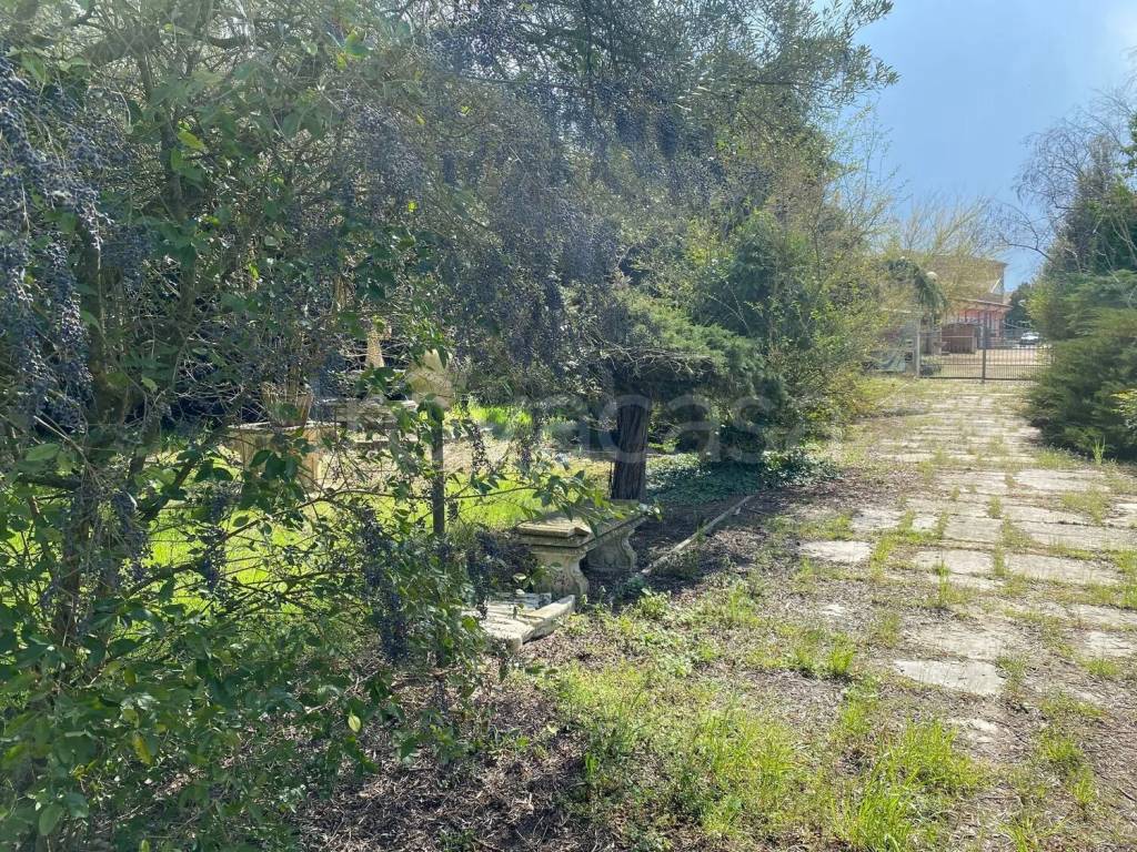 immagine annuncio 2 di 4