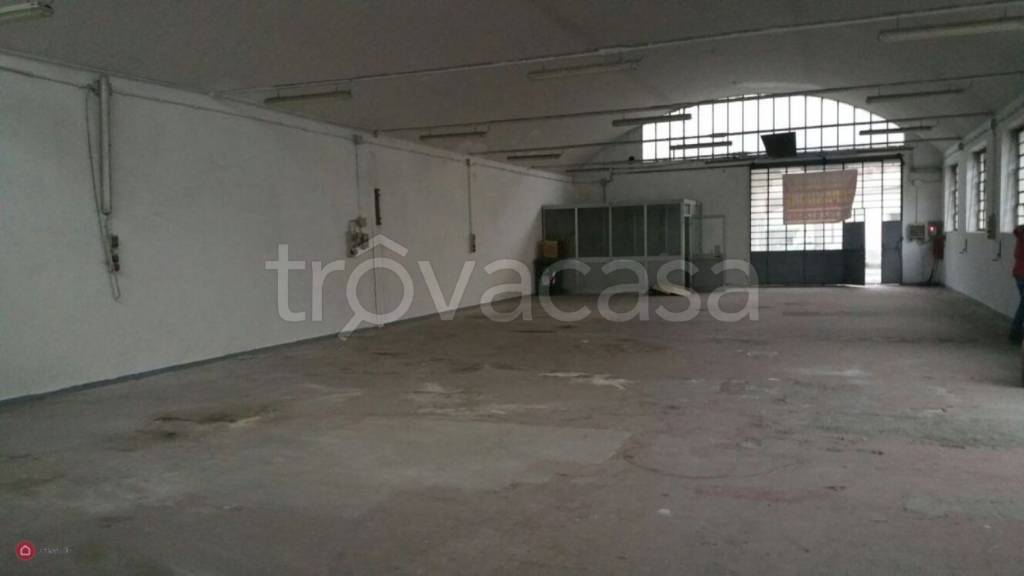 immagine annuncio 2 di 6