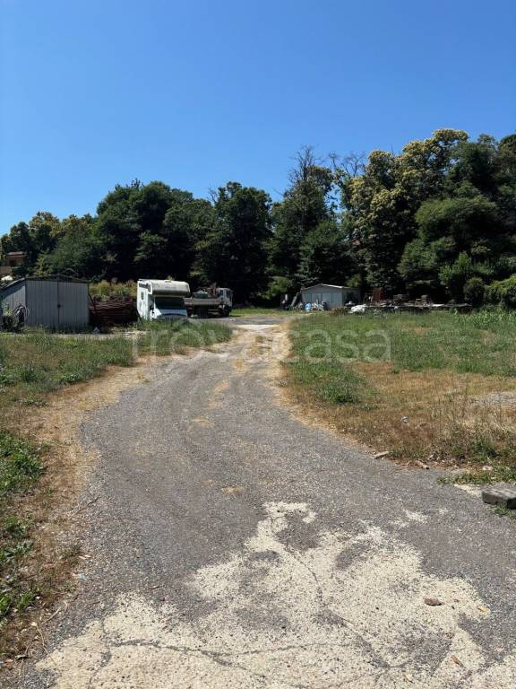 immagine annuncio 3 di 9
