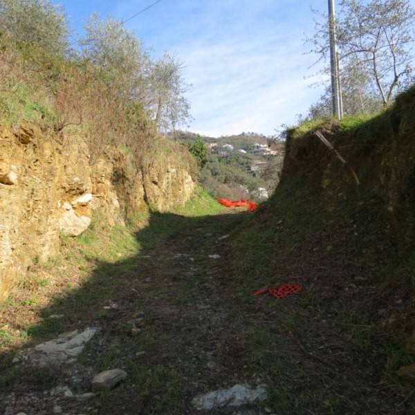 immagine annuncio 4 di 14