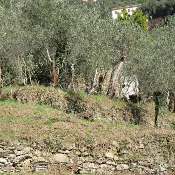 immagine annuncio 13 di 14