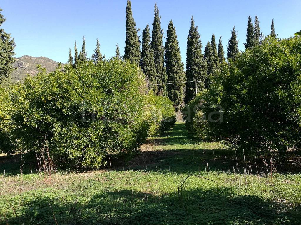 immagine annuncio 4 di 7