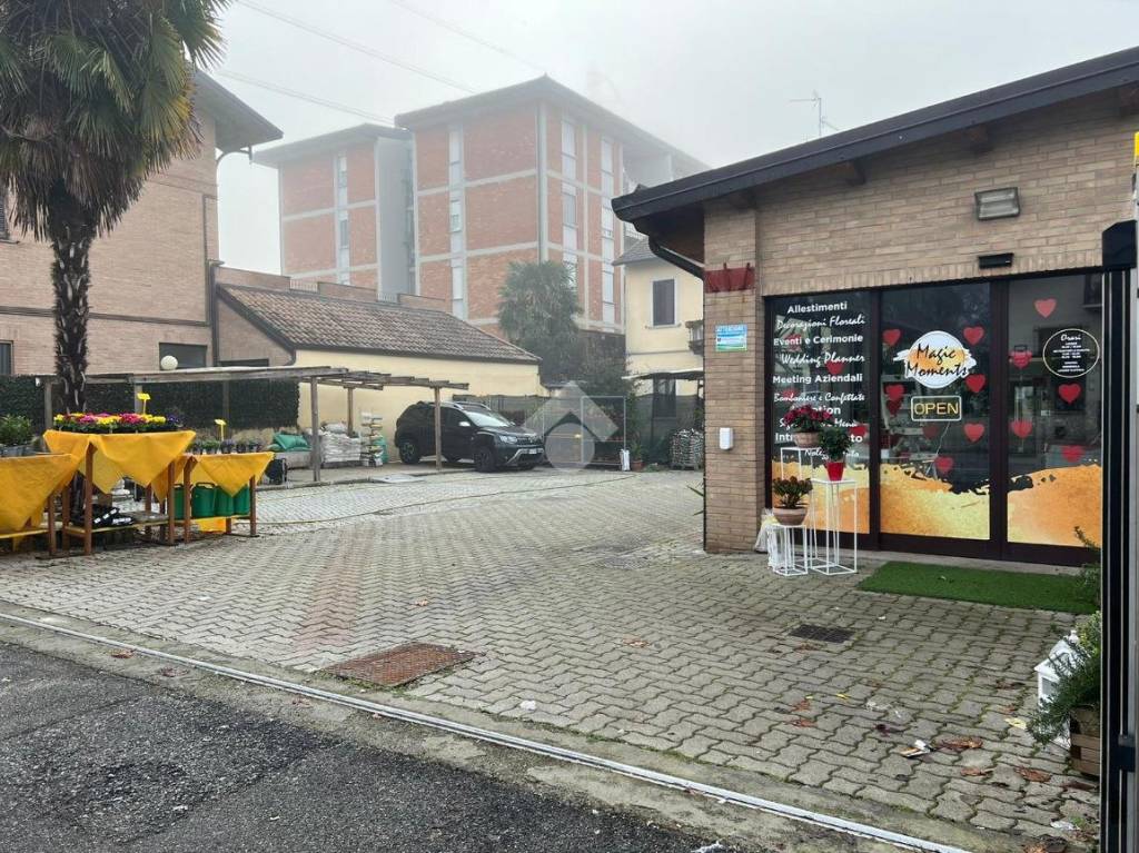 immagine annuncio 6 di 15