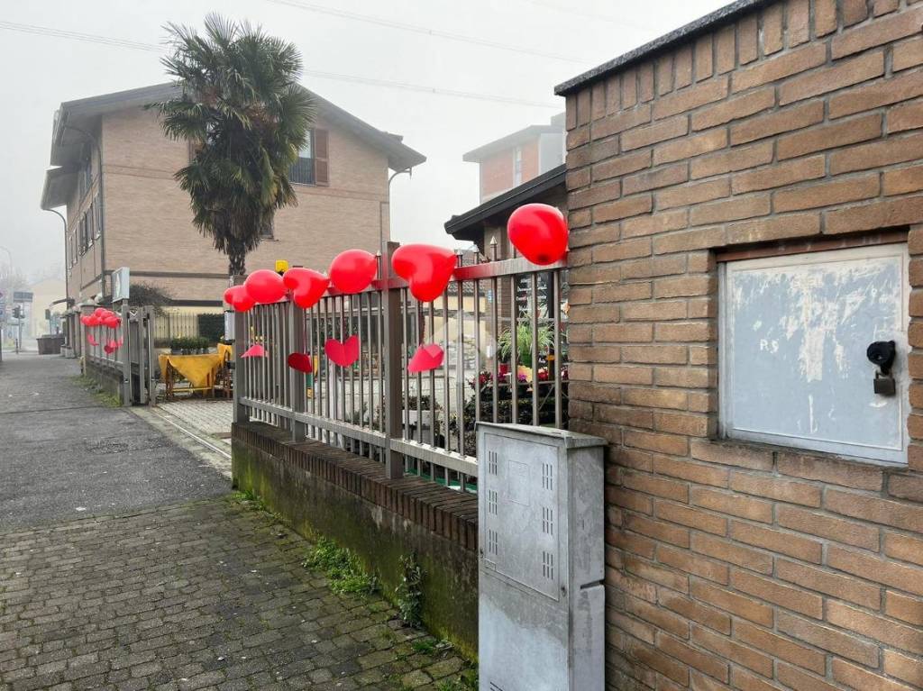 immagine annuncio 11 di 15