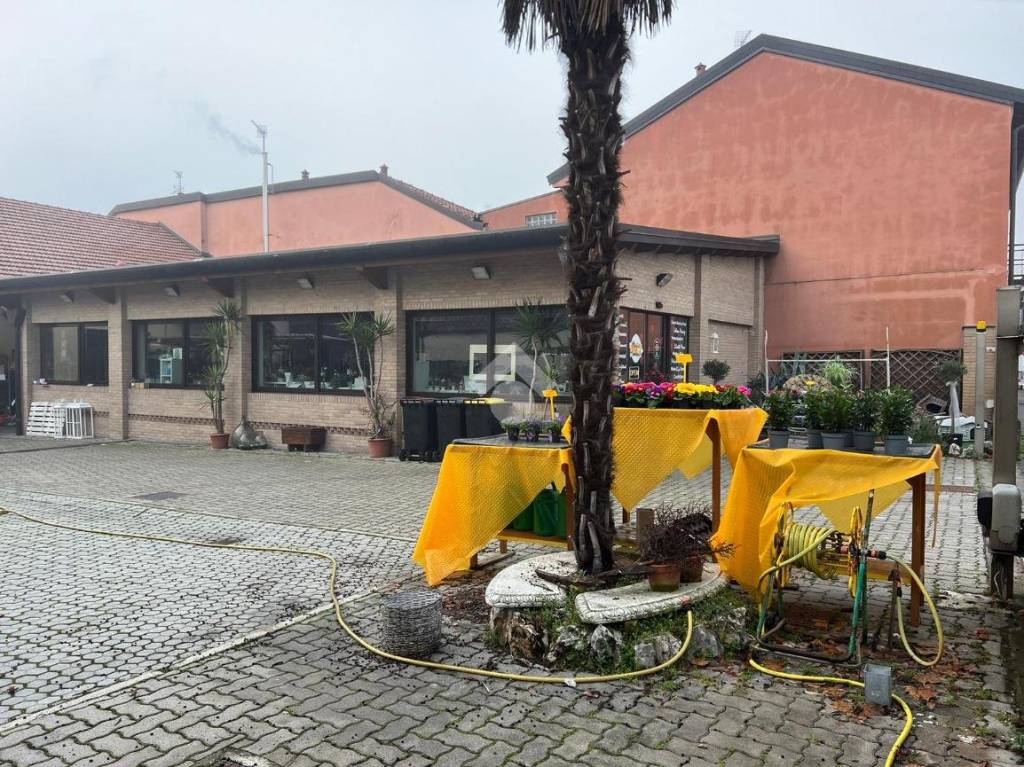 immagine annuncio 14 di 15