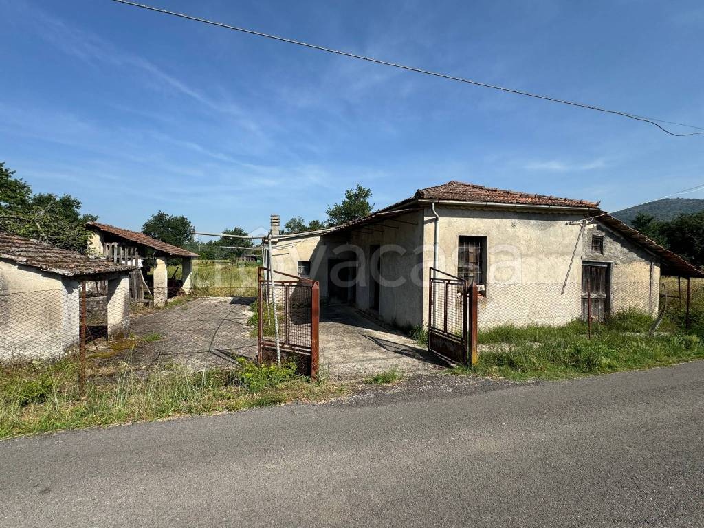 immagine annuncio 2 di 14