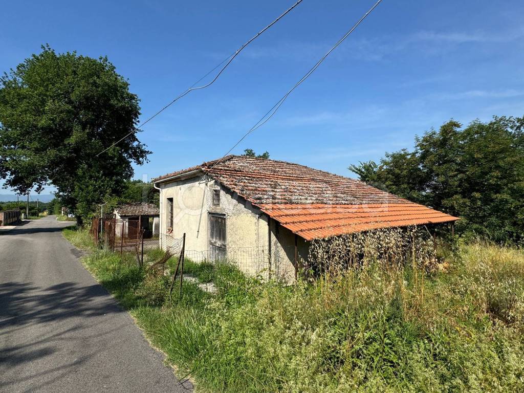 immagine annuncio 10 di 14