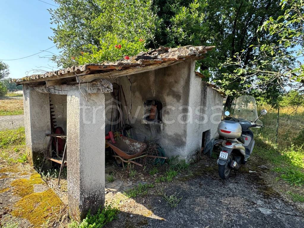 immagine annuncio 7 di 14