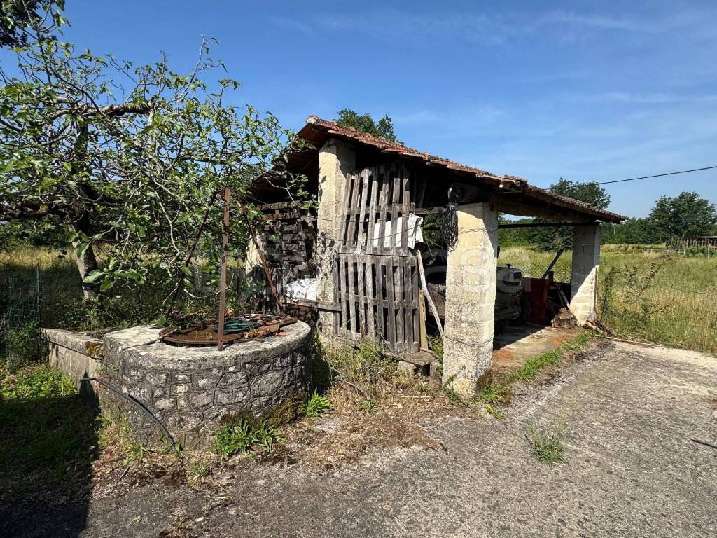 immagine annuncio 8 di 14