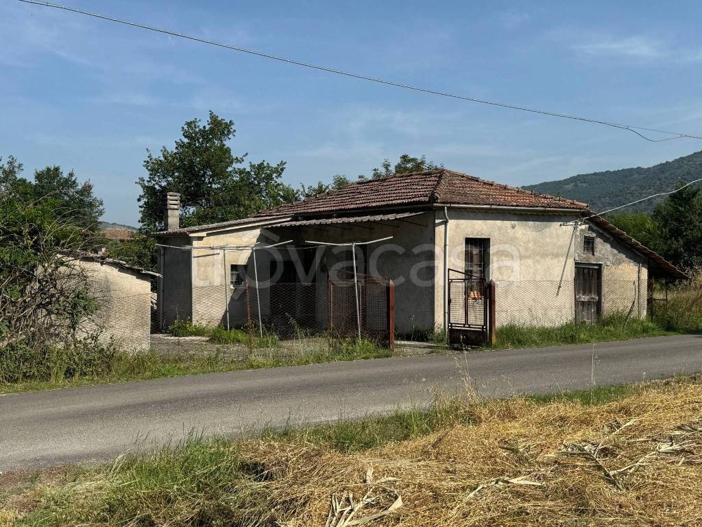 immagine annuncio 3 di 14