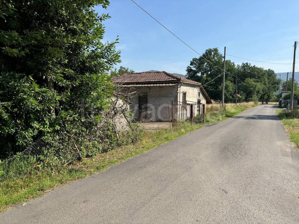 immagine annuncio 12 di 14