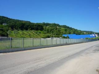 Terreno agricolo in affitto a grottammare via bore tesino