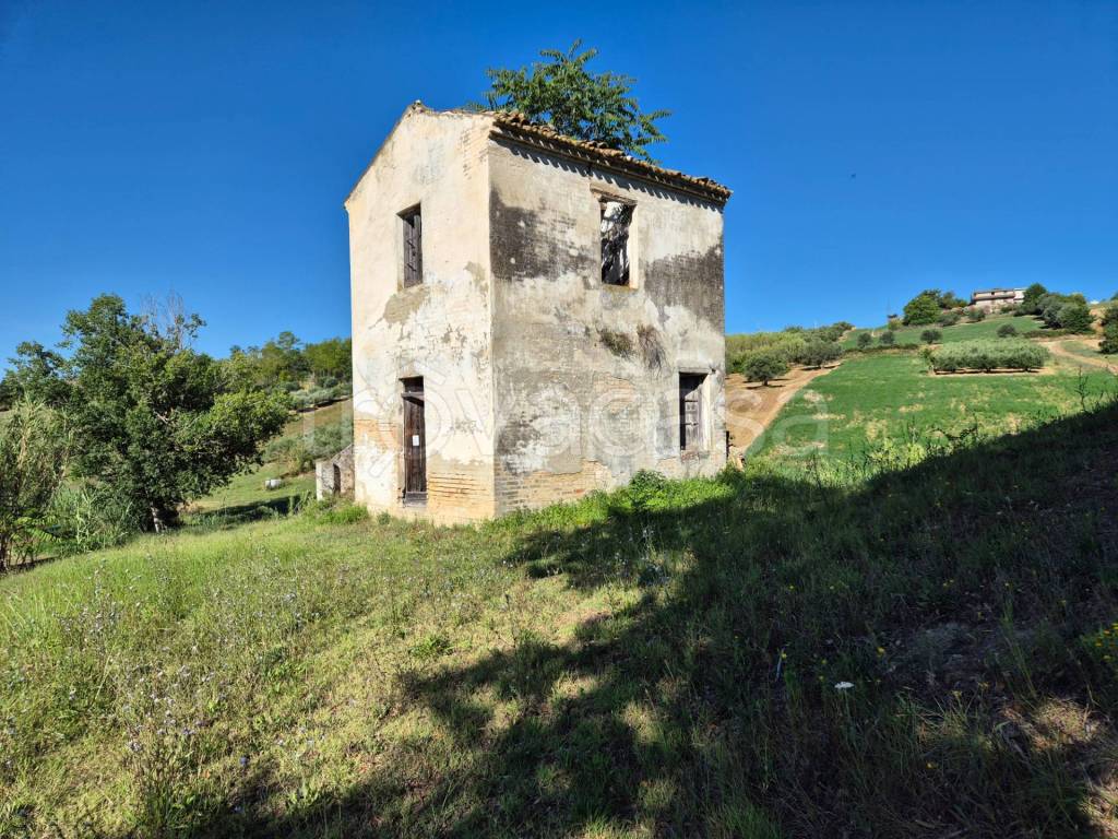 immagine annuncio 8 di 15