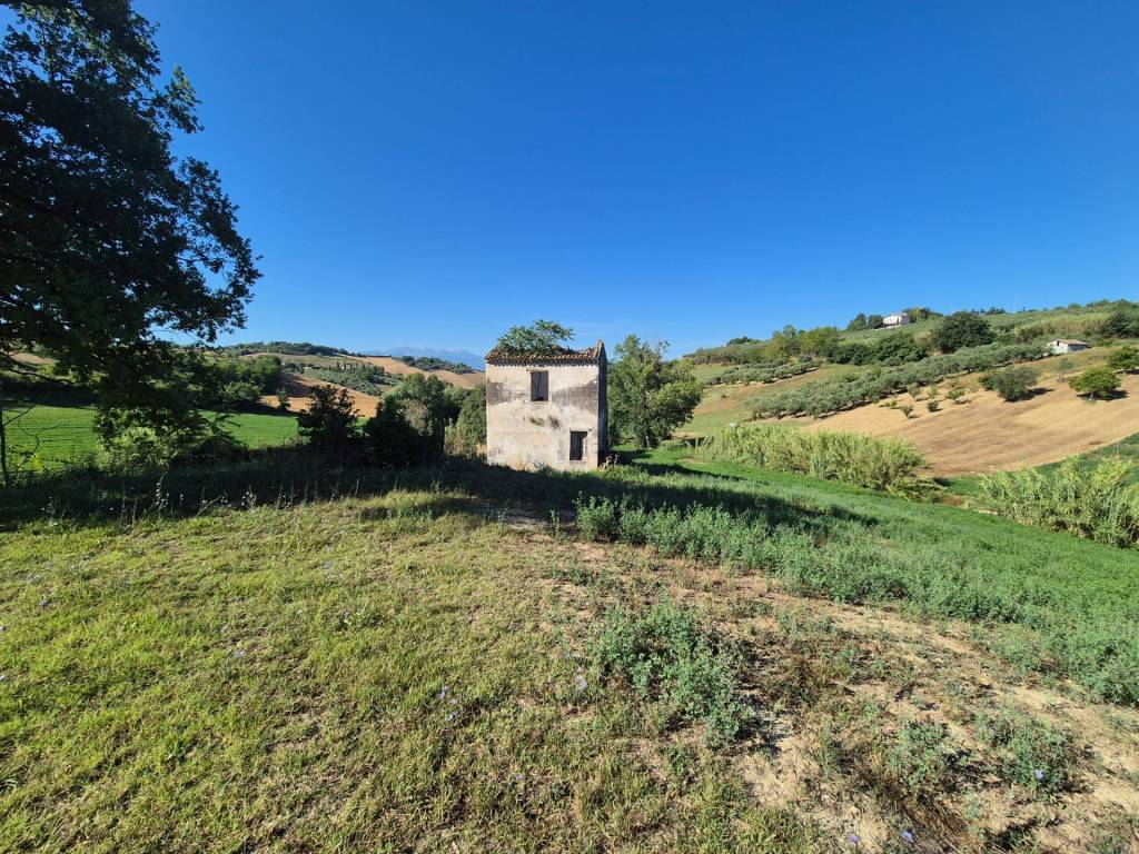 immagine annuncio 12 di 15