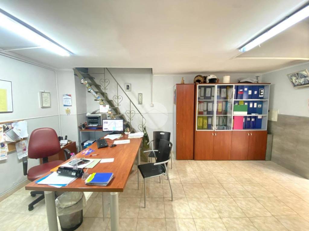 immagine annuncio 7 di 12