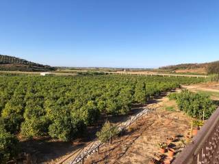 Terreno agricolo in vendita a crotone via delle dalie