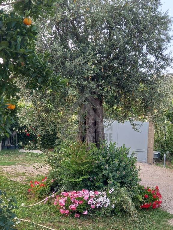 immagine annuncio 11 di 13
