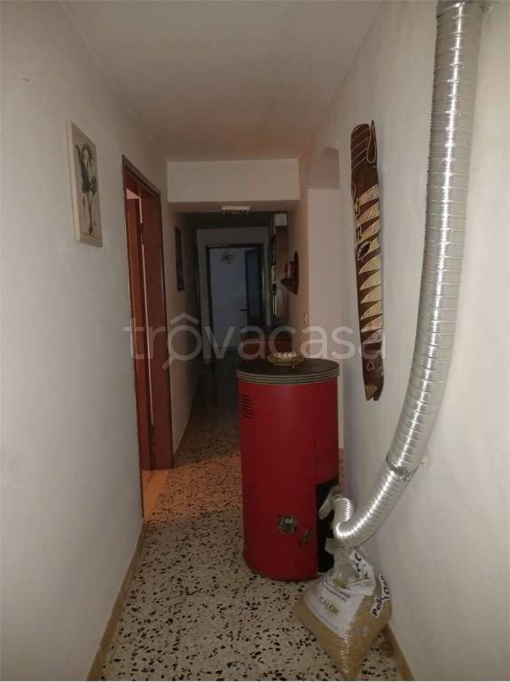 immagine annuncio 5 di 12