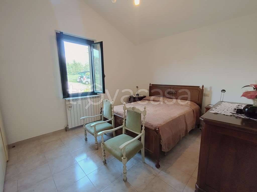immagine annuncio 9 di 14