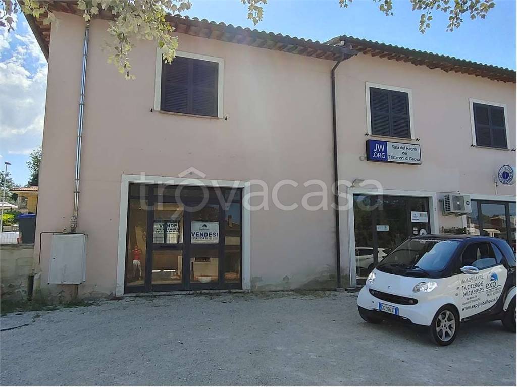 immagine annuncio 2 di 4