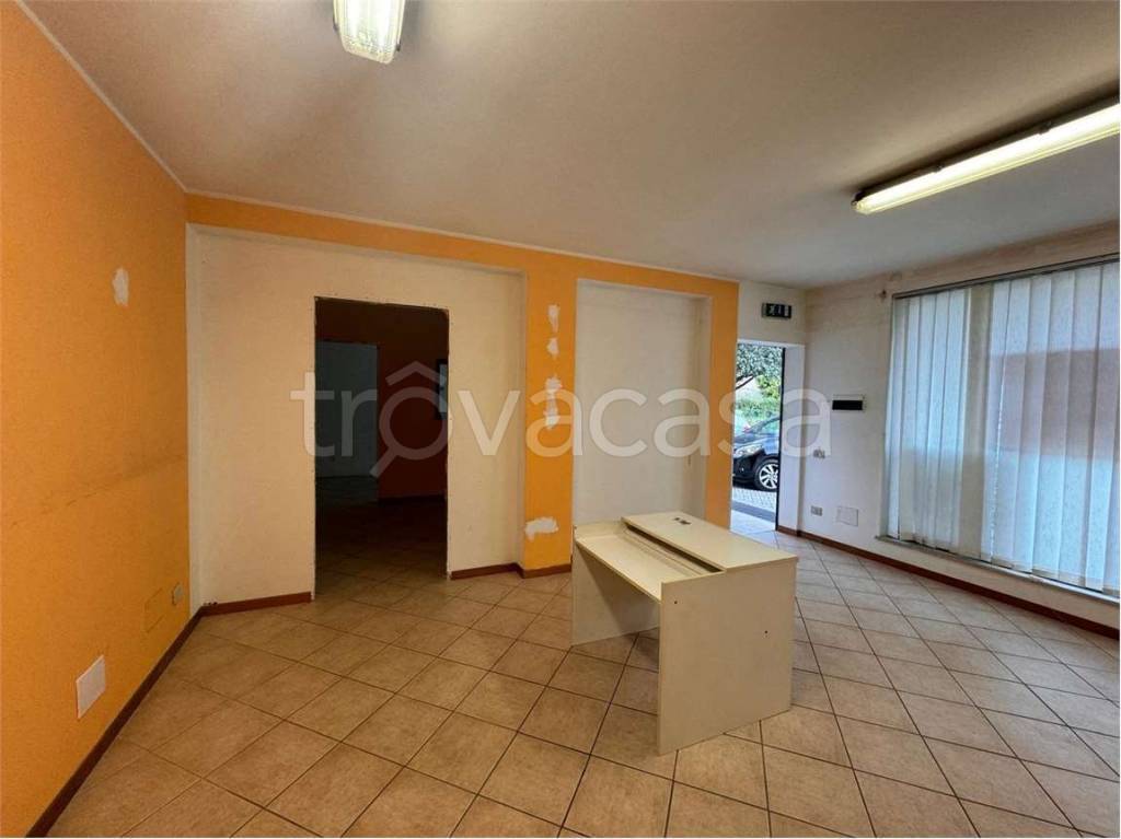 immagine annuncio 1 di 12