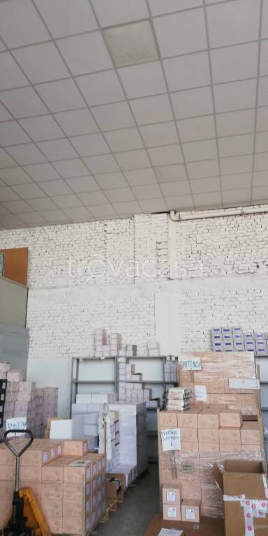 immagine annuncio 1 di 7